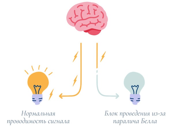 Блок проведения