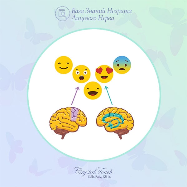 Естественная и форсированная мимика