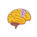 Bell's Palsy Knowledge Base Video Course - Episode 5