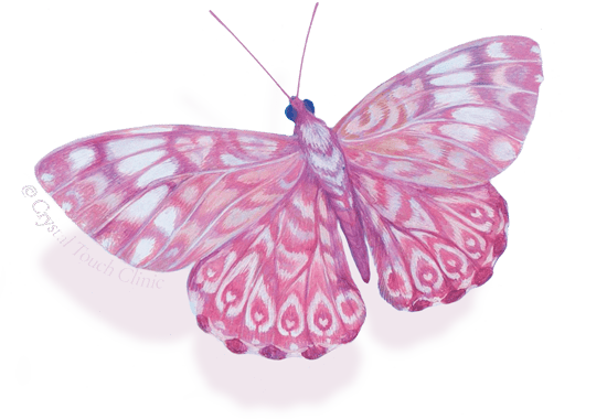 Butterfly - the symbol of change and metamorphosis