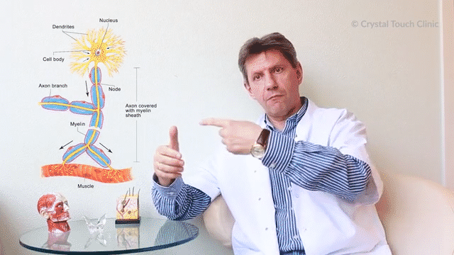 Bell's Palsy Knowledge Base Video Course animated preview